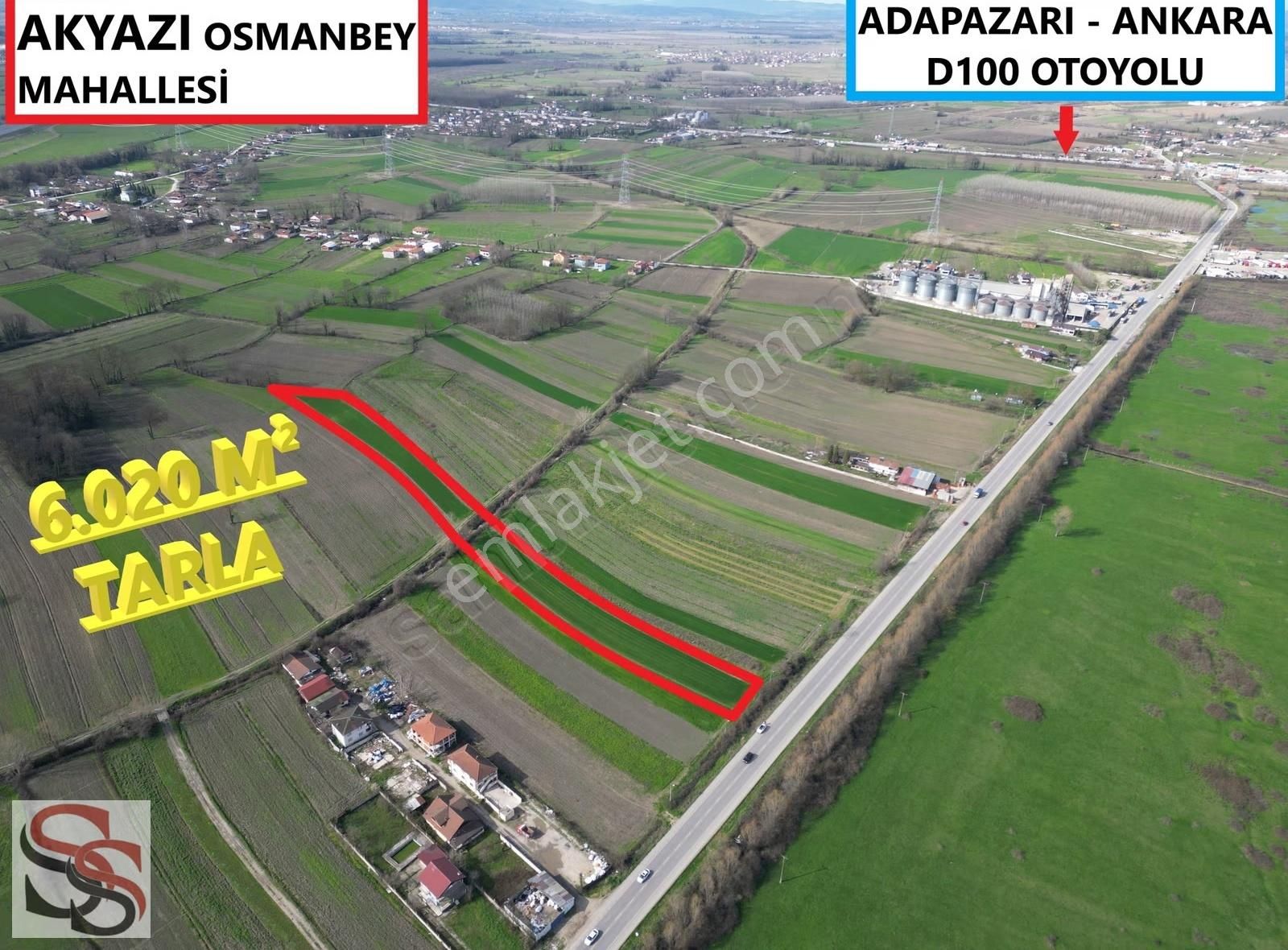 Akyazı Osmanbey Mahallesinde 6.020 M² Yatırımlık Tarla