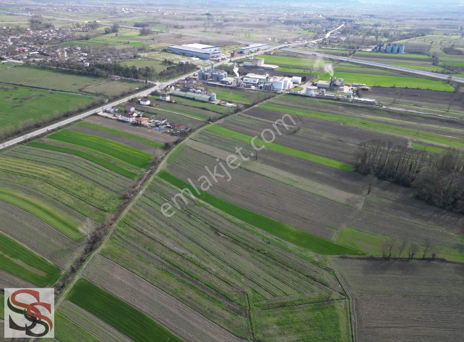 Akyazı Osmanbey Mahallesinde 6.020 M² Yatırımlık Tarla - Görsel 16