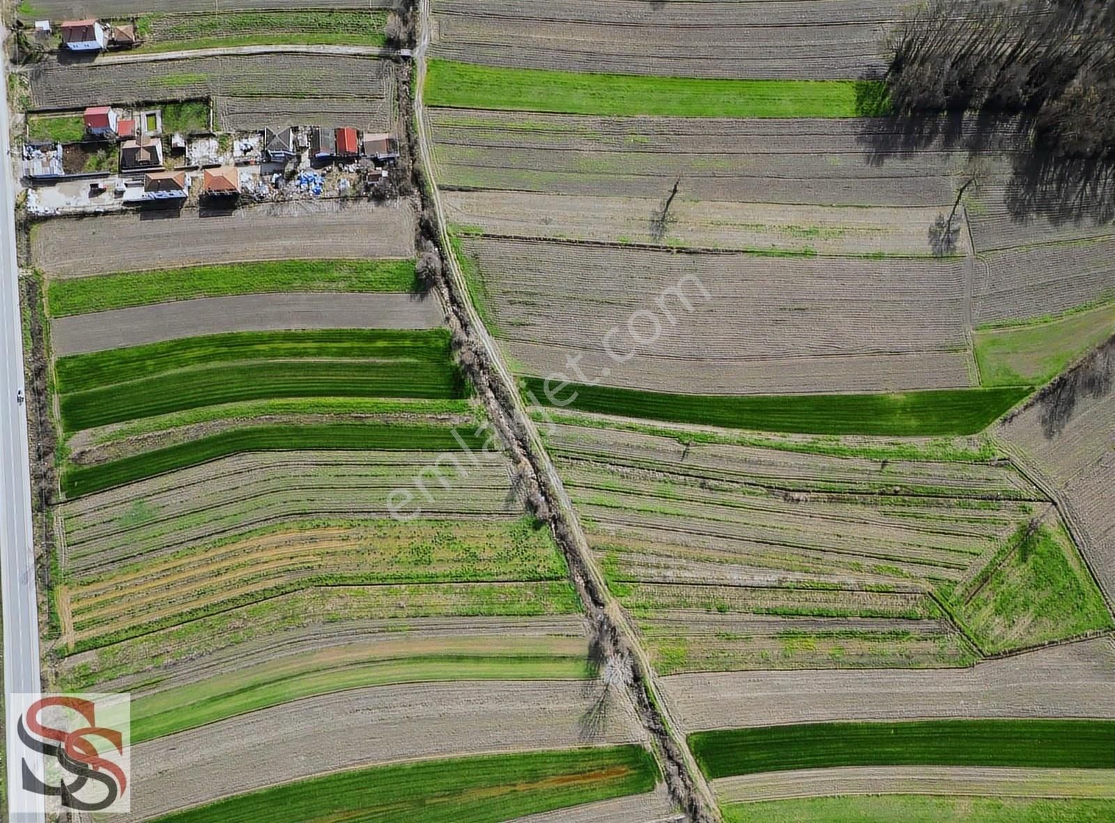 Akyazı Osmanbey Mahallesinde 6.020 M² Yatırımlık Tarla - Görsel 2