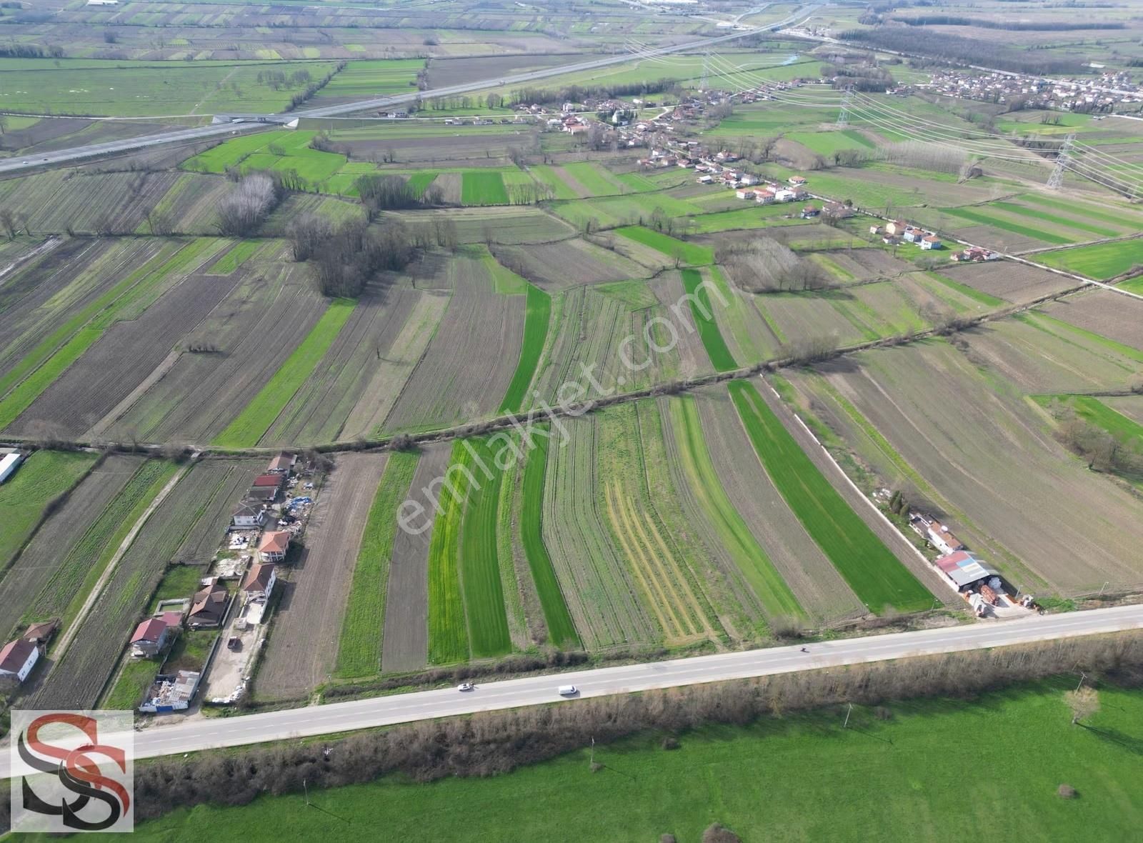 Akyazı Osmanbey Mahallesinde 6.020 M² Yatırımlık Tarla - Görsel 4