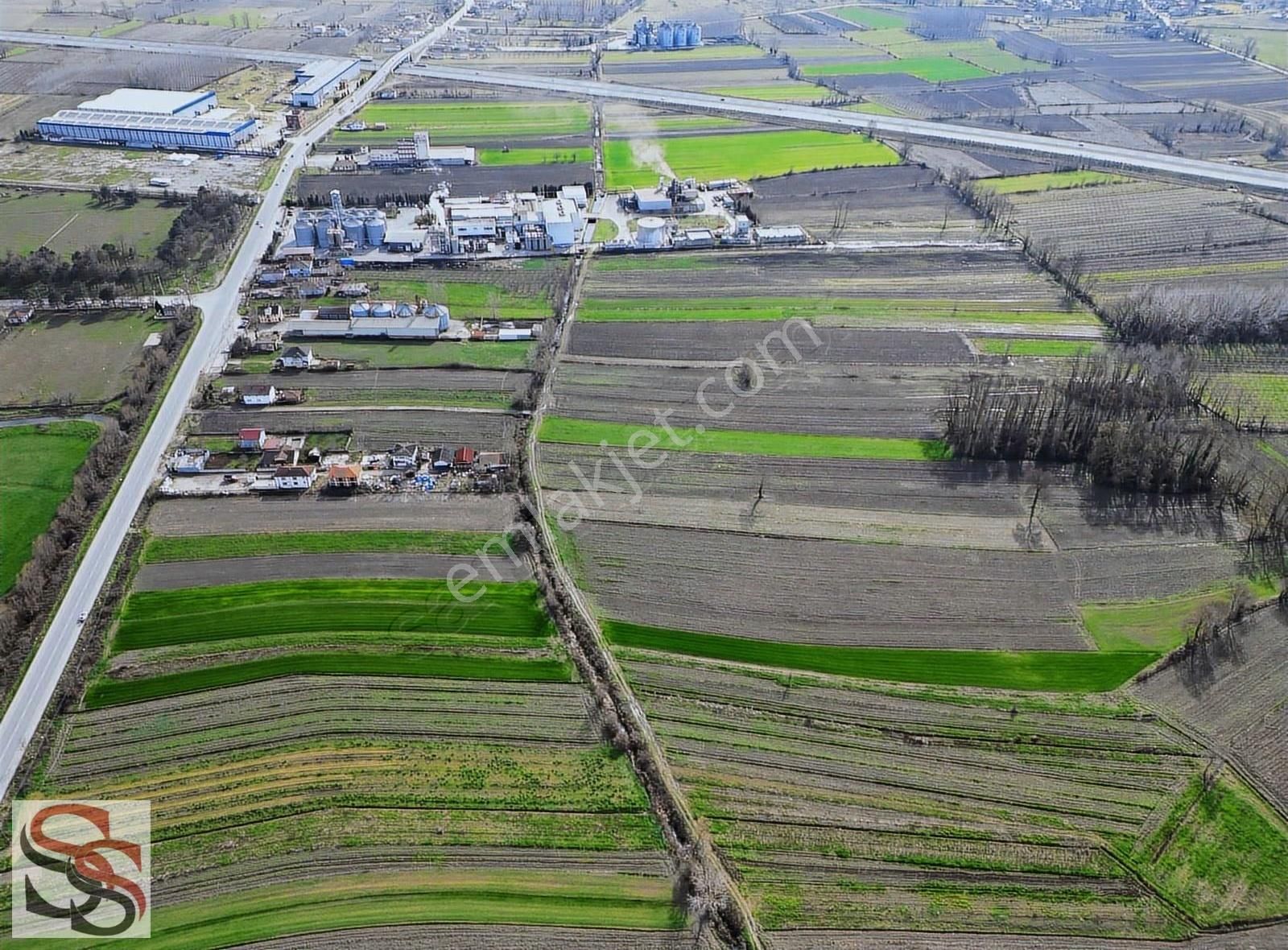 Akyazı Osmanbey Mahallesinde 6.020 M² Yatırımlık Tarla - Görsel 24