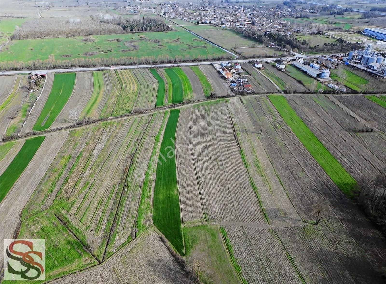 Akyazı Osmanbey Mahallesinde 6.020 M² Yatırımlık Tarla - Görsel 20