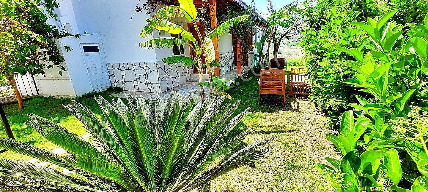 Çeşme Çiftlikköy'de Sakız Adası Deniz Manzaralı Sezonluk Aylık Kiralık Ev - Görsel 24