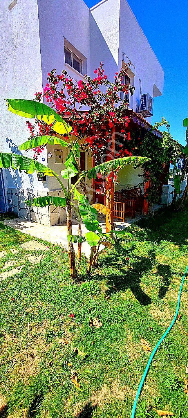 Çeşme Çiftlikköy'de Sakız Adası Deniz Manzaralı Sezonluk Aylık Kiralık Ev - Görsel 14