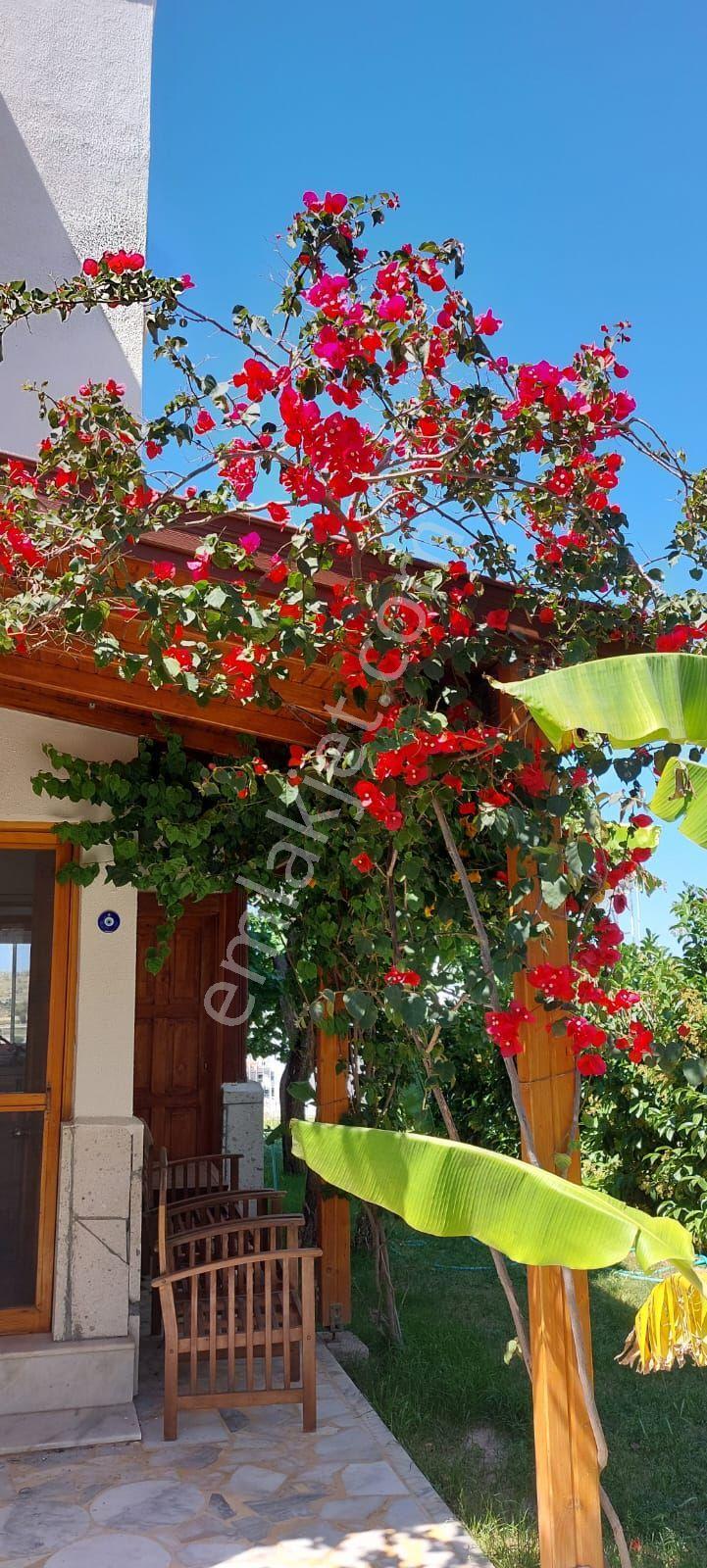 Çeşme Çiftlikköy'de Sakız Adası Deniz Manzaralı Sezonluk Aylık Kiralık Ev - Görsel 17