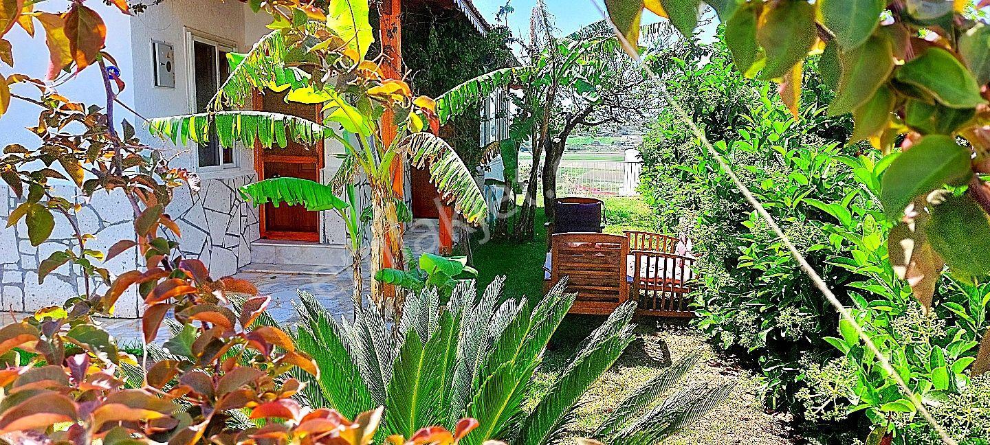 Çeşme Çiftlikköy'de Sakız Adası Deniz Manzaralı Sezonluk Aylık Kiralık Ev - Görsel 21