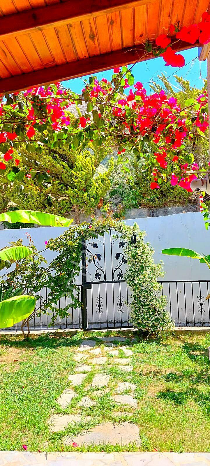 Çeşme Çiftlikköy'de Sakız Adası Deniz Manzaralı Sezonluk Aylık Kiralık Ev - Görsel 16