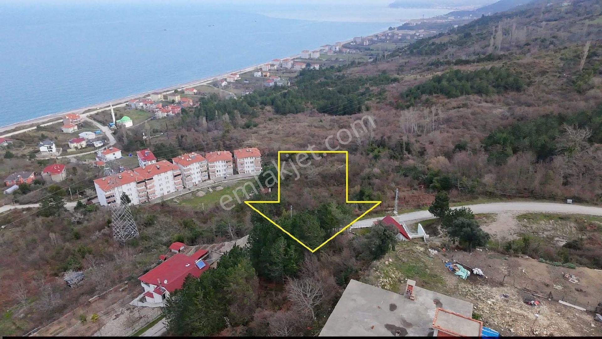 Cide Gebeş Mahallesinde Deniz Manzaralı Arsa - Görsel 8