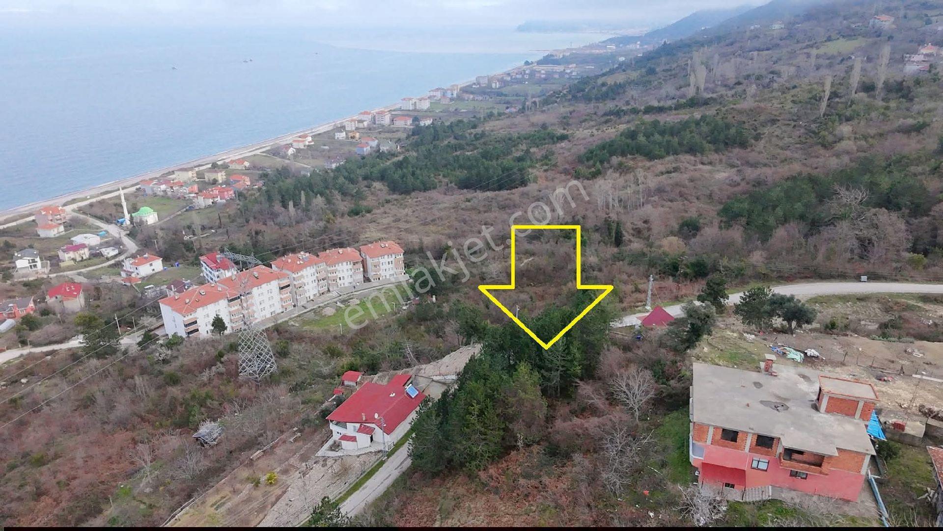 Cide Gebeş Mahallesinde Deniz Manzaralı Arsa - Görsel 6