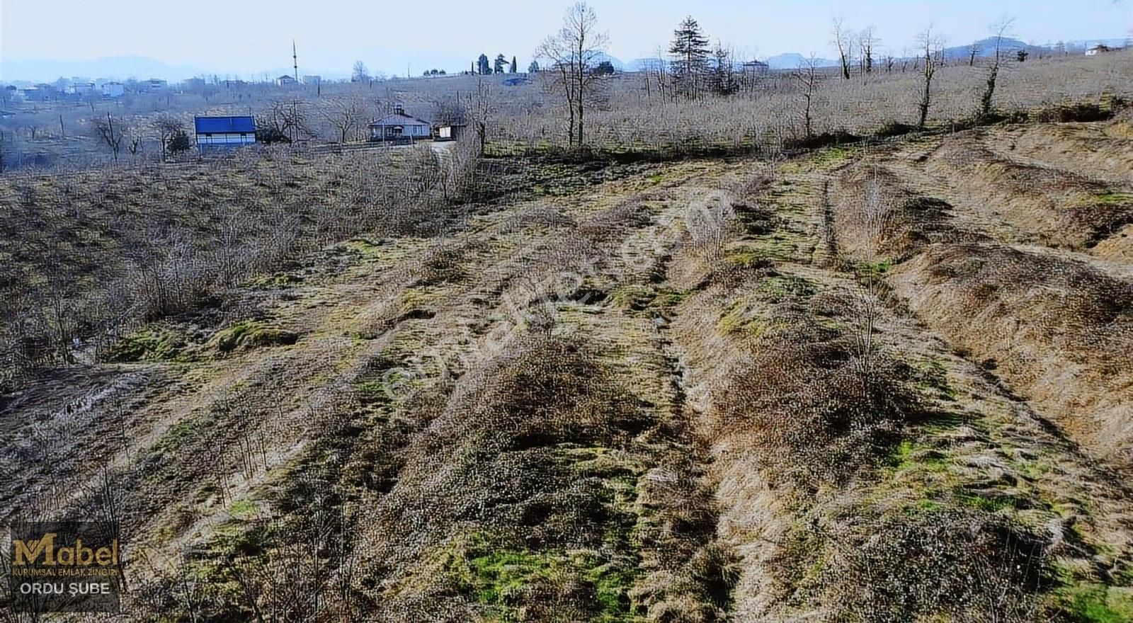 Mabel'den Burhanettin Mah. Manzaralı Bahçe - Görsel 6