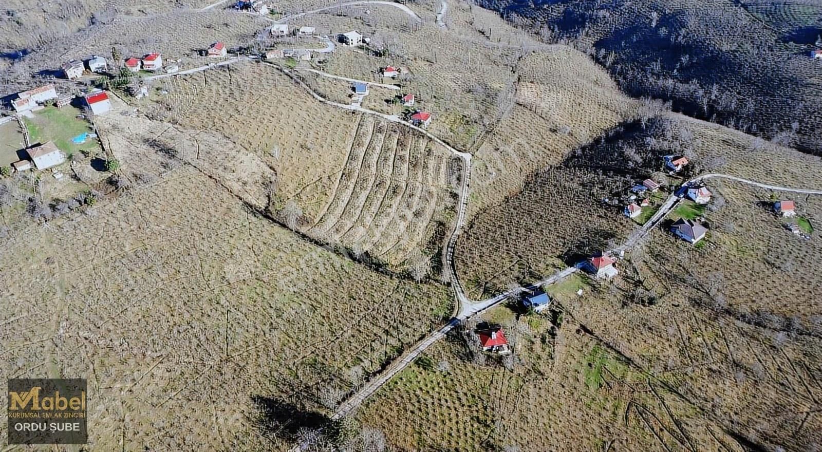 Mabel'den Burhanettin Mah. Manzaralı Bahçe - Görsel 3