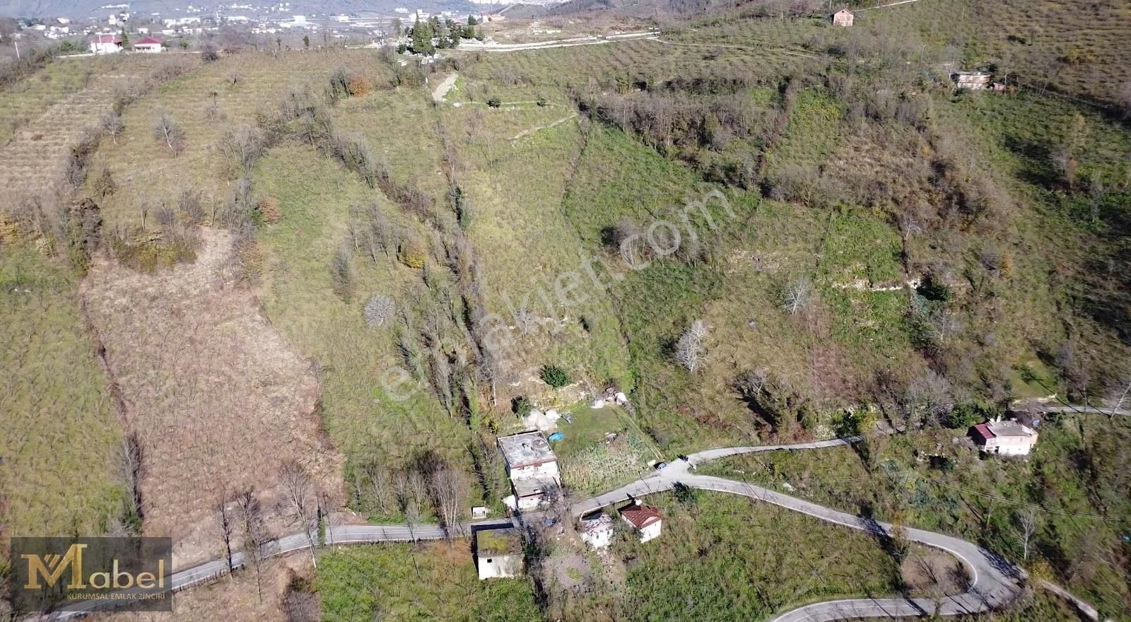 Mabel Gayrimenkul- Bayadı Mahallesinde Satılık Fındık Bahçesi - Görsel 3