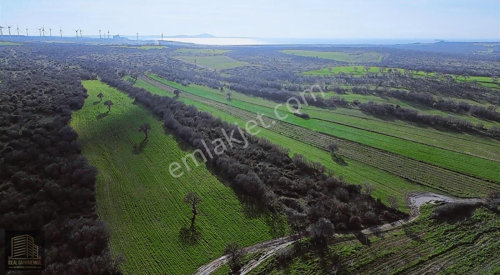 Ezine Mahmudiyede Yatırımlık Fırsat: 19.500 M² Verimli Tarla! - Görsel 12