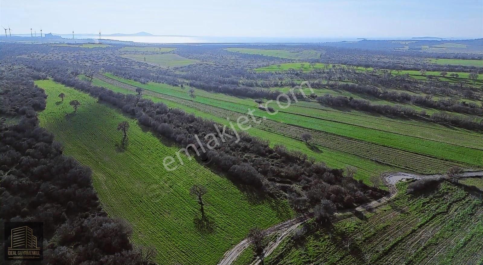 Ezine Mahmudiyede Yatırımlık Fırsat: 19.500 M² Verimli Tarla! - Görsel 26