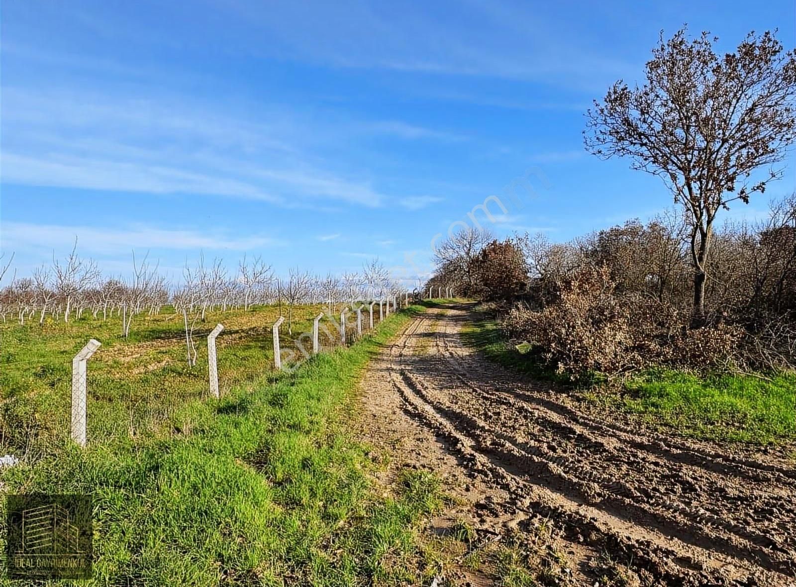 Ezine Mahmudiyede Yatırımlık Fırsat: 19.500 M² Verimli Tarla! - Görsel 11