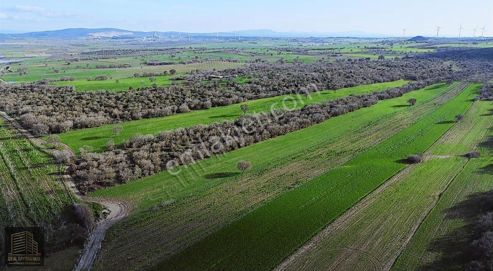 Ezine Mahmudiyede Yatırımlık Fırsat: 19.500 M² Verimli Tarla! - Görsel 15