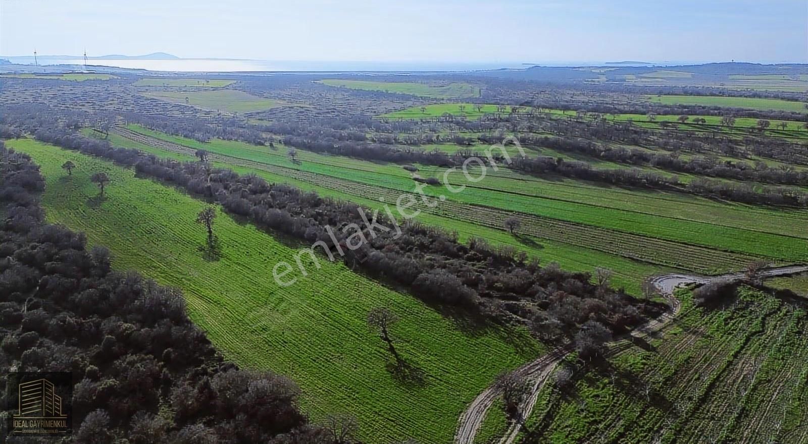 Ezine Mahmudiyede Yatırımlık Fırsat: 19.500 M² Verimli Tarla! - Görsel 5