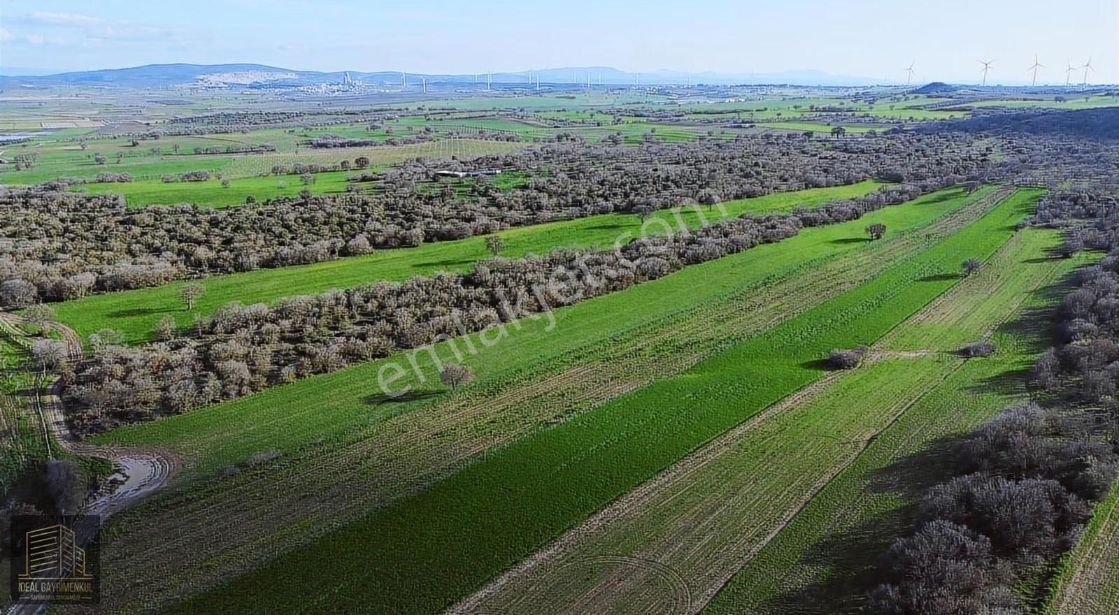 Ezine Mahmudiyede Yatırımlık Fırsat: 19.500 M² Verimli Tarla! - Görsel 21
