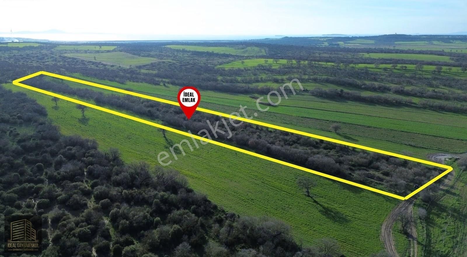 Ezine Mahmudiyede Yatırımlık Fırsat: 19.500 M² Verimli Tarla!