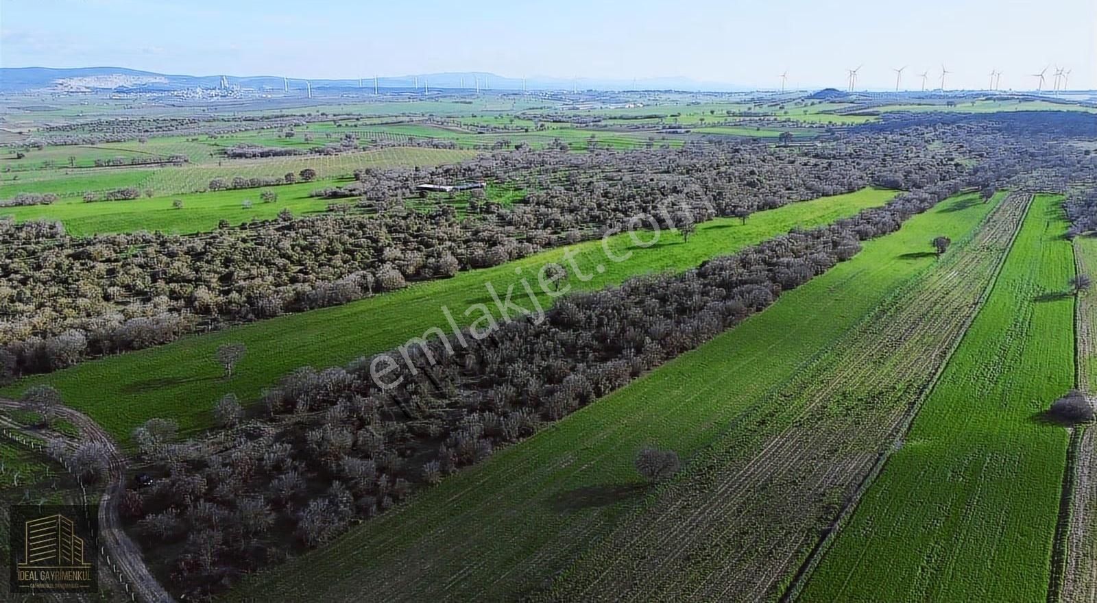 Ezine Mahmudiyede Yatırımlık Fırsat: 19.500 M² Verimli Tarla! - Görsel 19