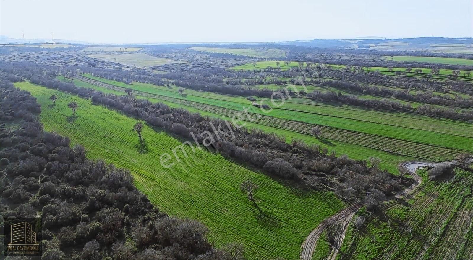 Ezine Mahmudiyede Yatırımlık Fırsat: 19.500 M² Verimli Tarla! - Görsel 4