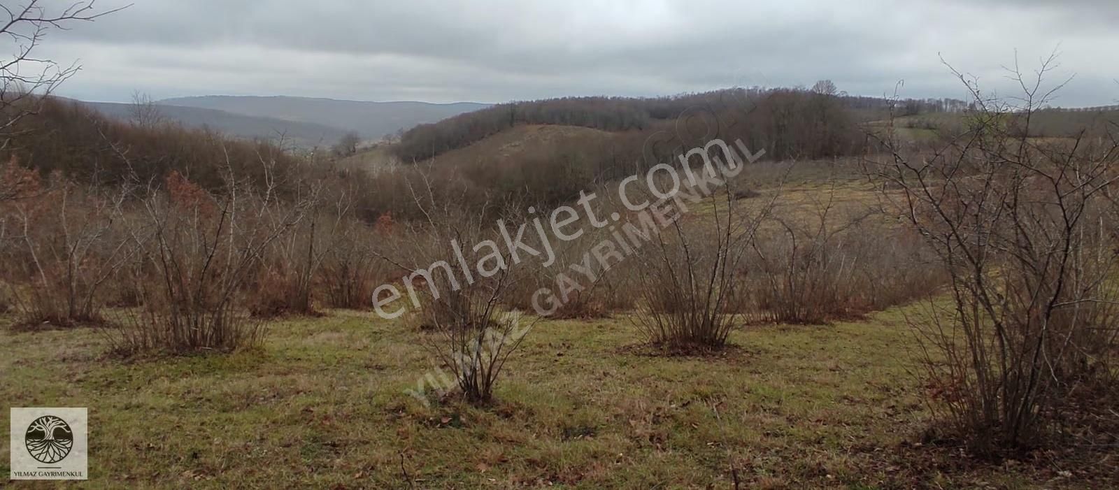 Kandıra Dalca'da %5 İmarli, 2731m² Fındık Bahçeli Tarla - Görsel 19
