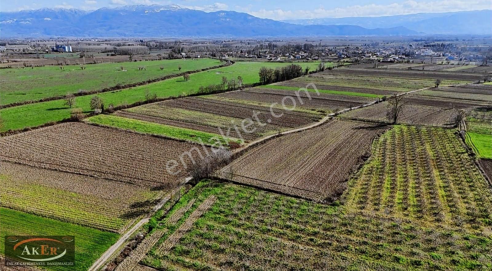 Tarıma Elverişli Köy İçine Yakın Satılık Tarla - Görsel 2