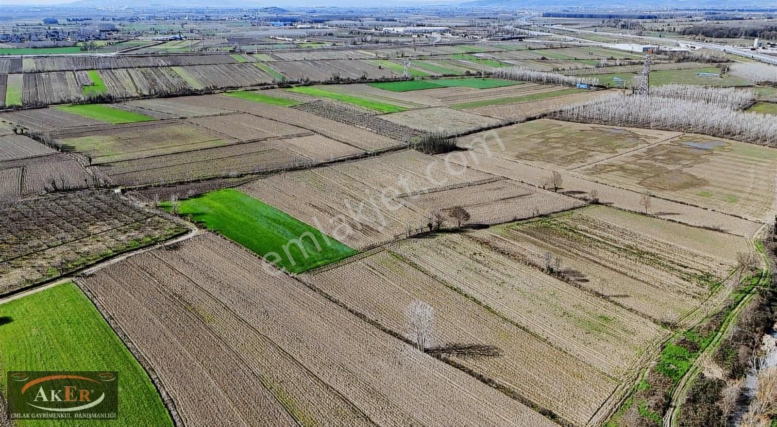 Tarıma Elverişli Köy İçine Yakın Satılık Tarla - Görsel 3