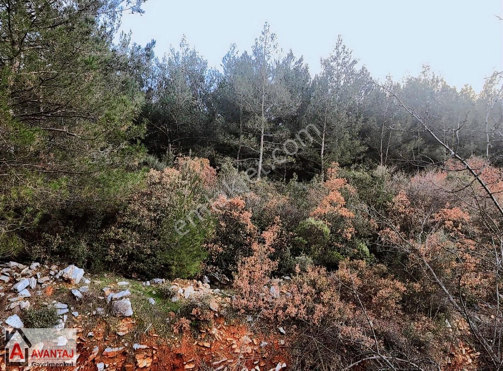 Muğla Kötekli'de Satılık Müstakil Villa - Görsel 4