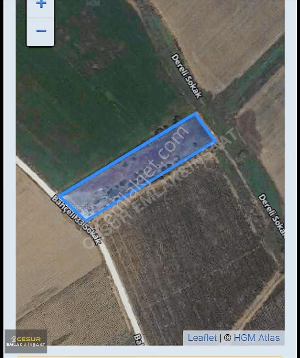 İzmir Dikili Bahçelide Satılık Tarla - Görsel 4
