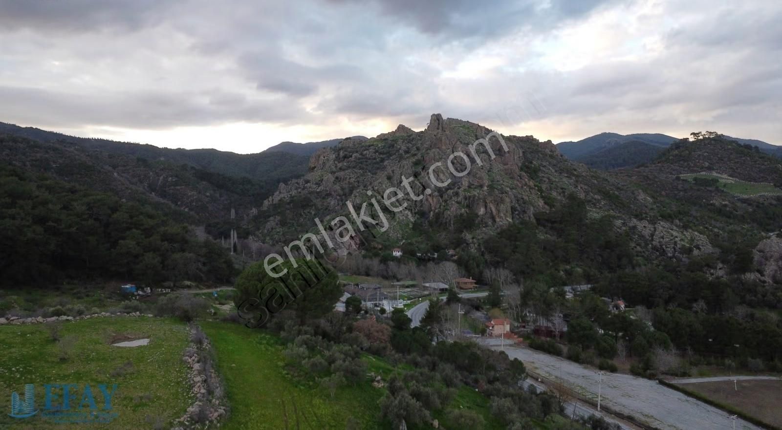 Yerlitahtacı Kozak Girişi Zeytinli Tarla