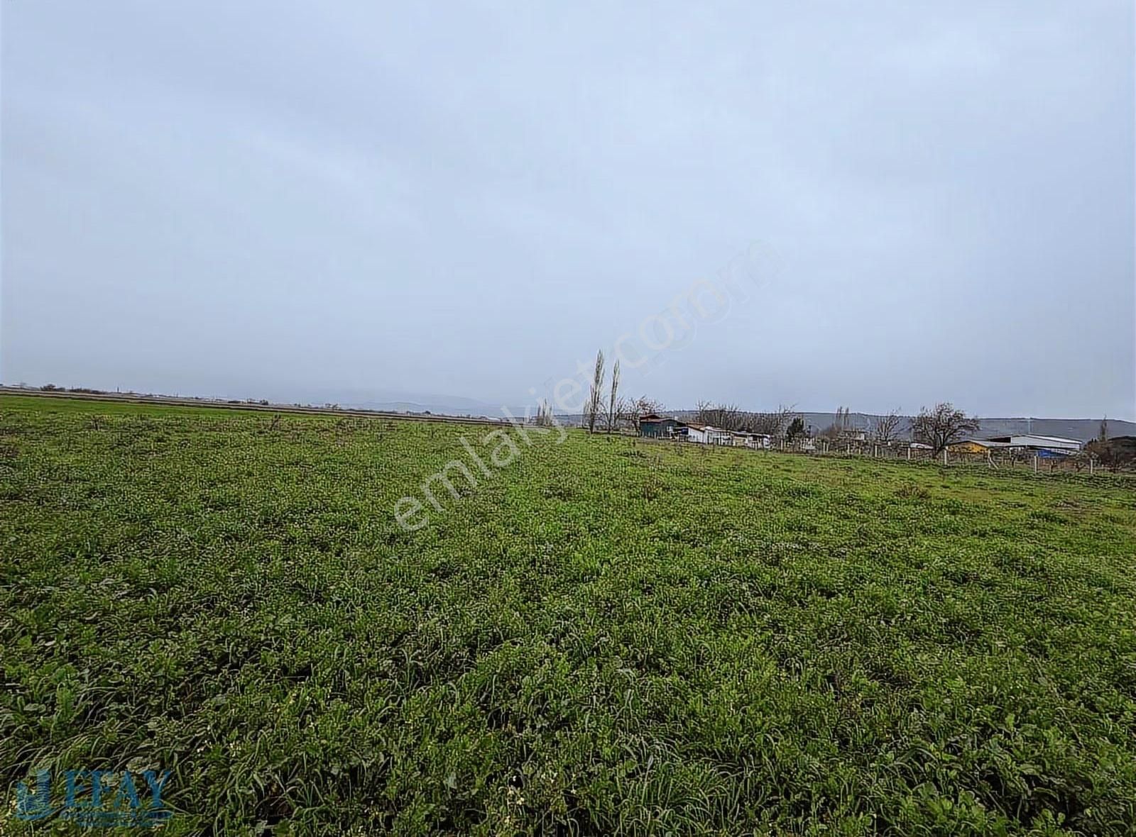 Bergama Merkeze Yakın Tarla İslamsaray Mah. - Görsel 4