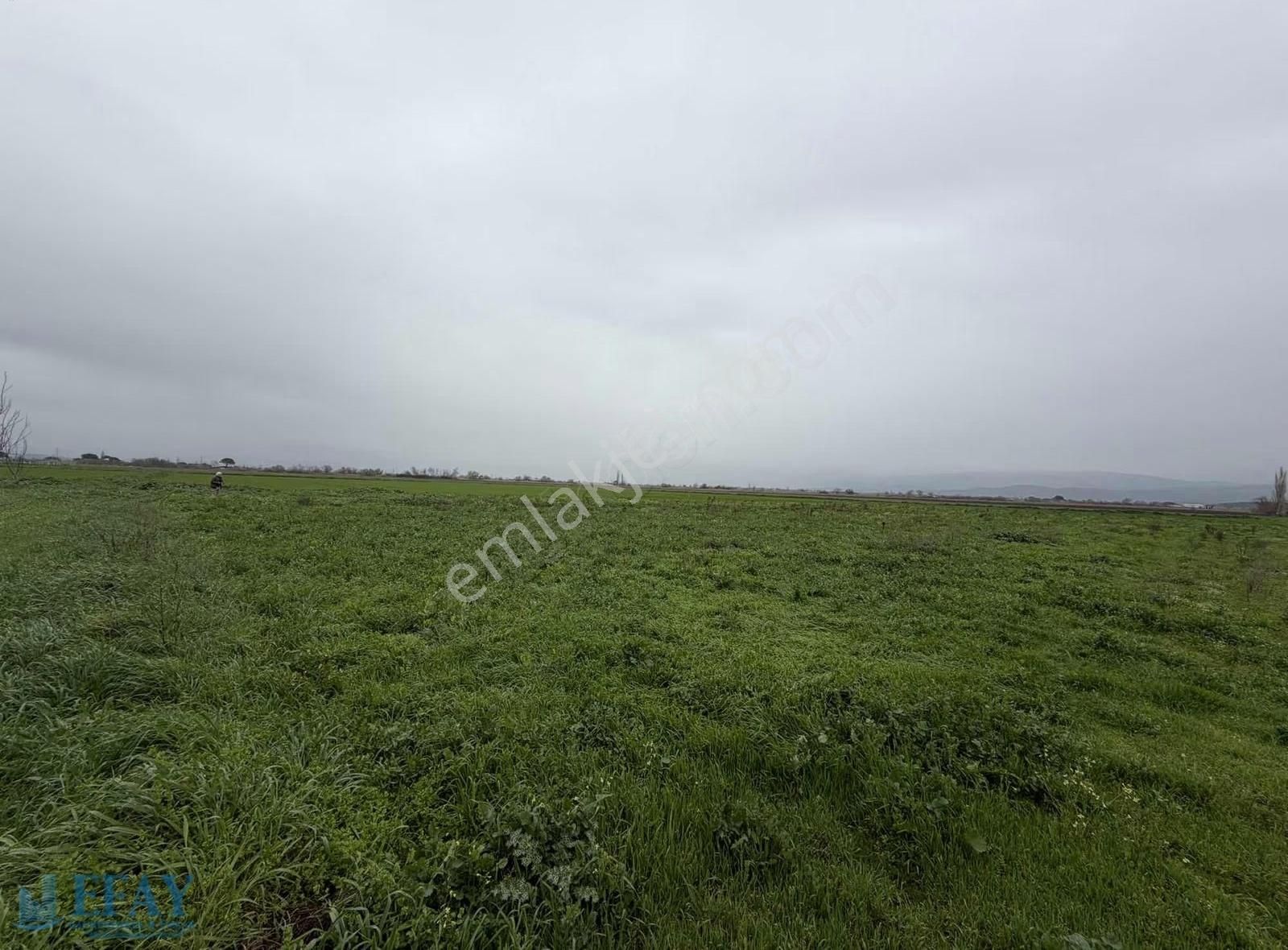 Bergama Merkeze Yakın Tarla İslamsaray Mah.