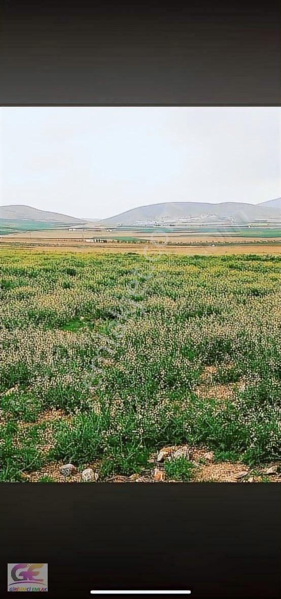Yunak Eşme Mahallesinde Satılık Tarla - Görsel 2