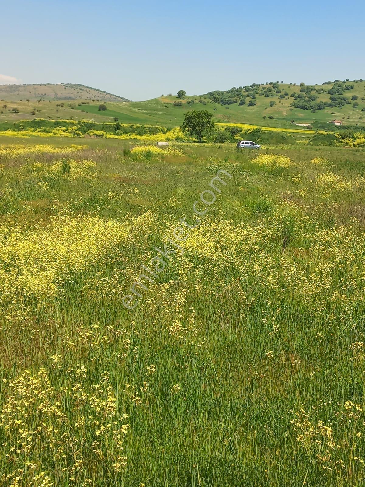 C21 Loca Gökçeyazı'da Hobi Bahçesine Uygun Süper Tarla - Görsel 9
