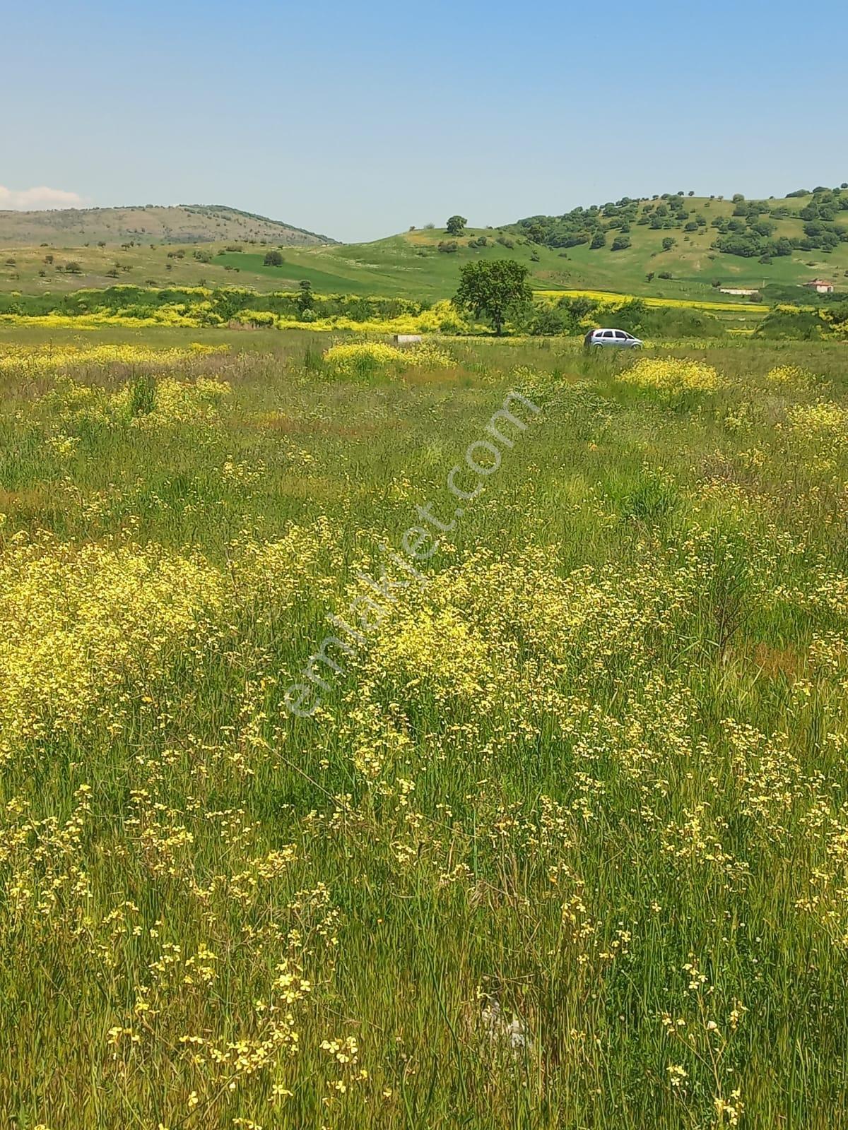 C21 Loca Gökçeyazı'da Hobi Bahçesine Uygun Süper Tarla - Görsel 3
