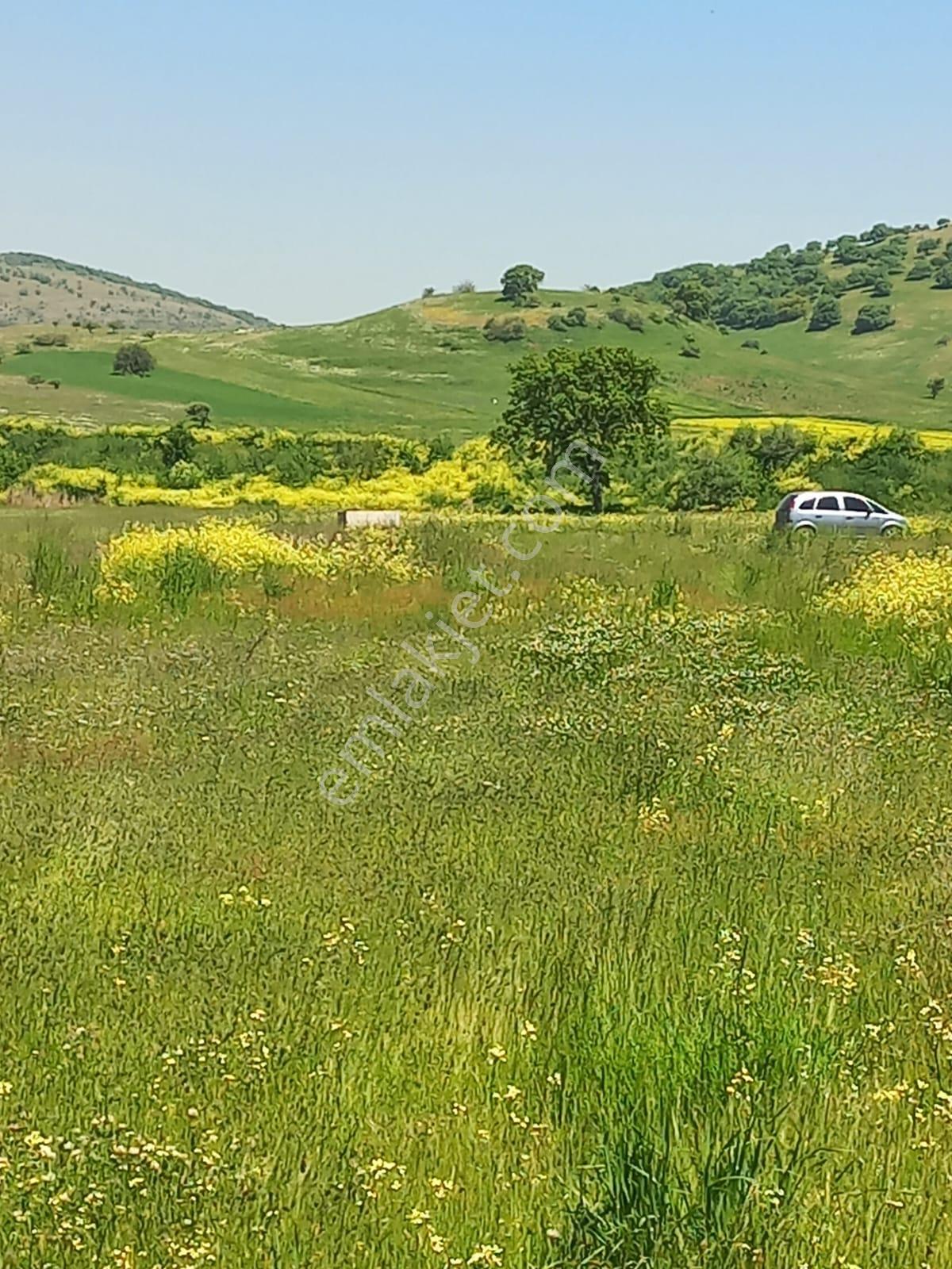 C21 Loca Gökçeyazı'da Hobi Bahçesine Uygun Süper Tarla