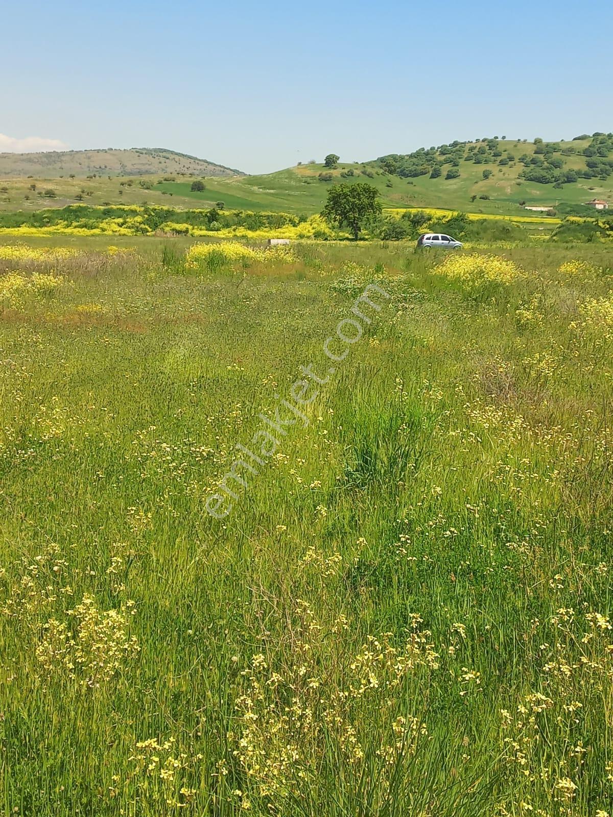 C21 Loca Gökçeyazı'da Hobi Bahçesine Uygun Süper Tarla - Görsel 4