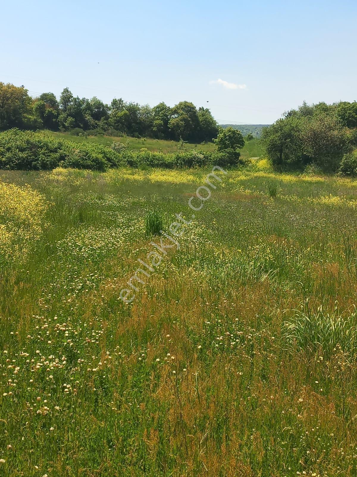 C21 Loca Gökçeyazı'da Hobi Bahçesine Uygun Süper Tarla - Görsel 24