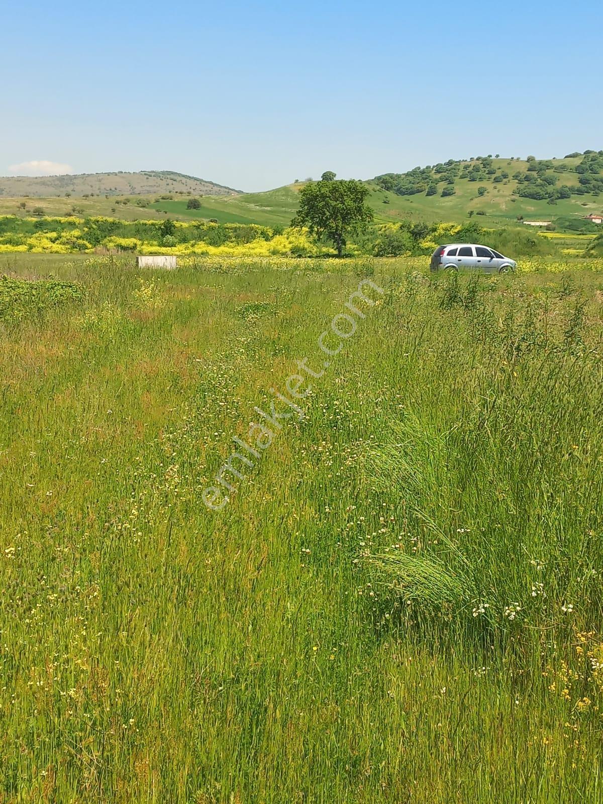 C21 Loca Gökçeyazı'da Hobi Bahçesine Uygun Süper Tarla - Görsel 12
