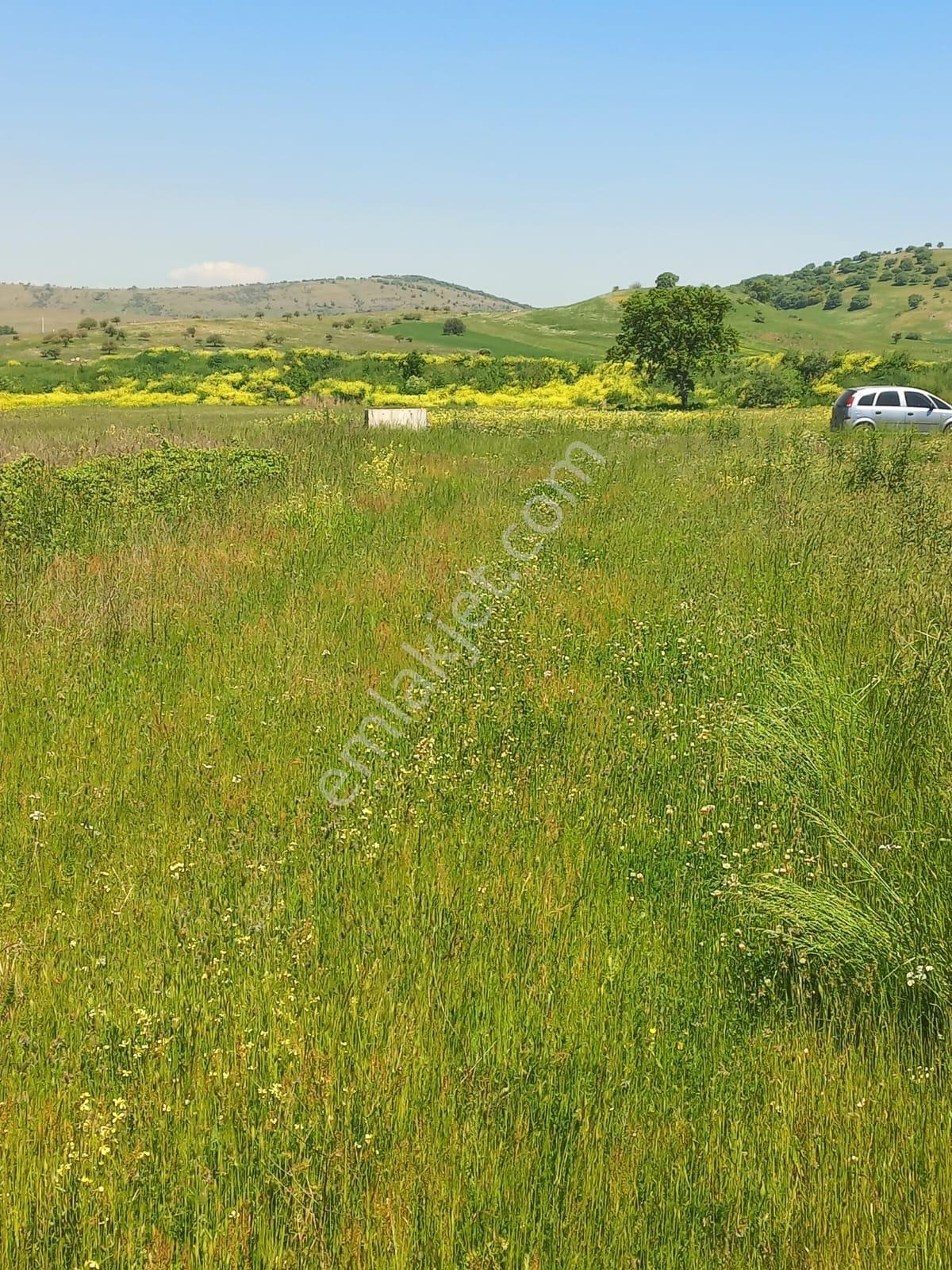 C21 Loca Gökçeyazı'da Hobi Bahçesine Uygun Süper Tarla - Görsel 13