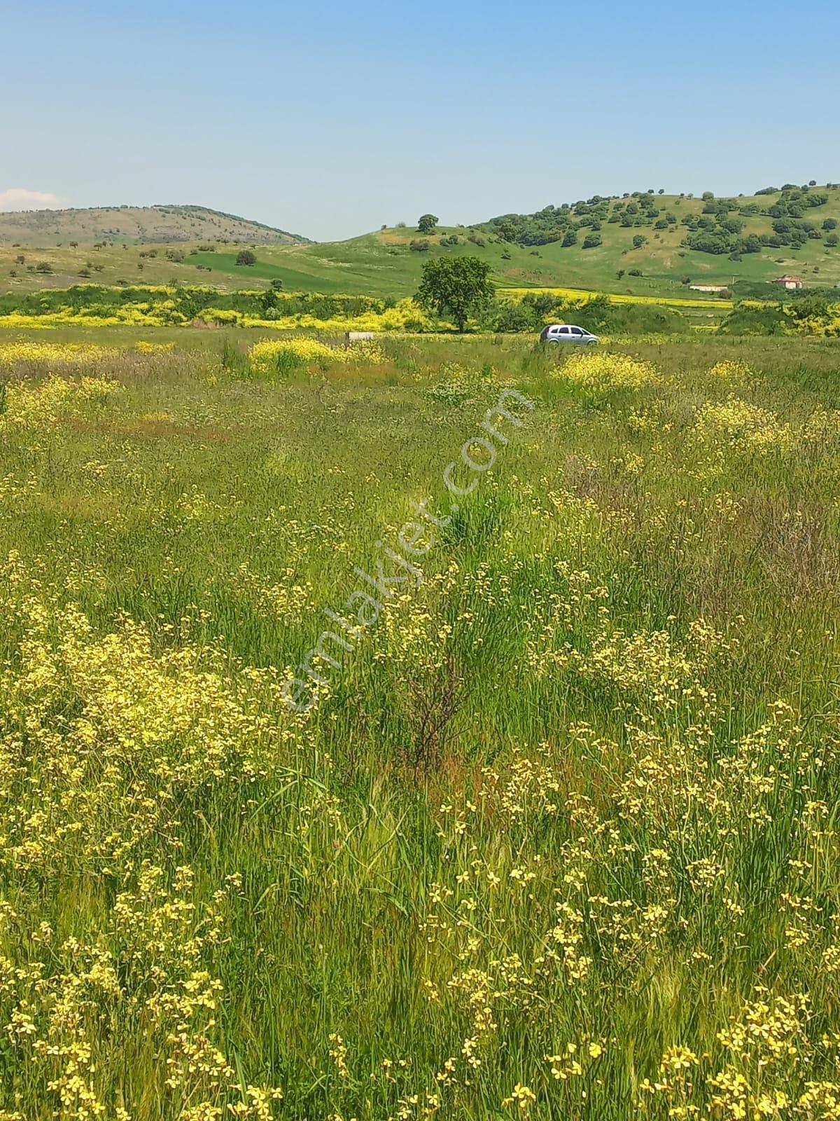 C21 Loca Gökçeyazı'da Hobi Bahçesine Uygun Süper Tarla - Görsel 2