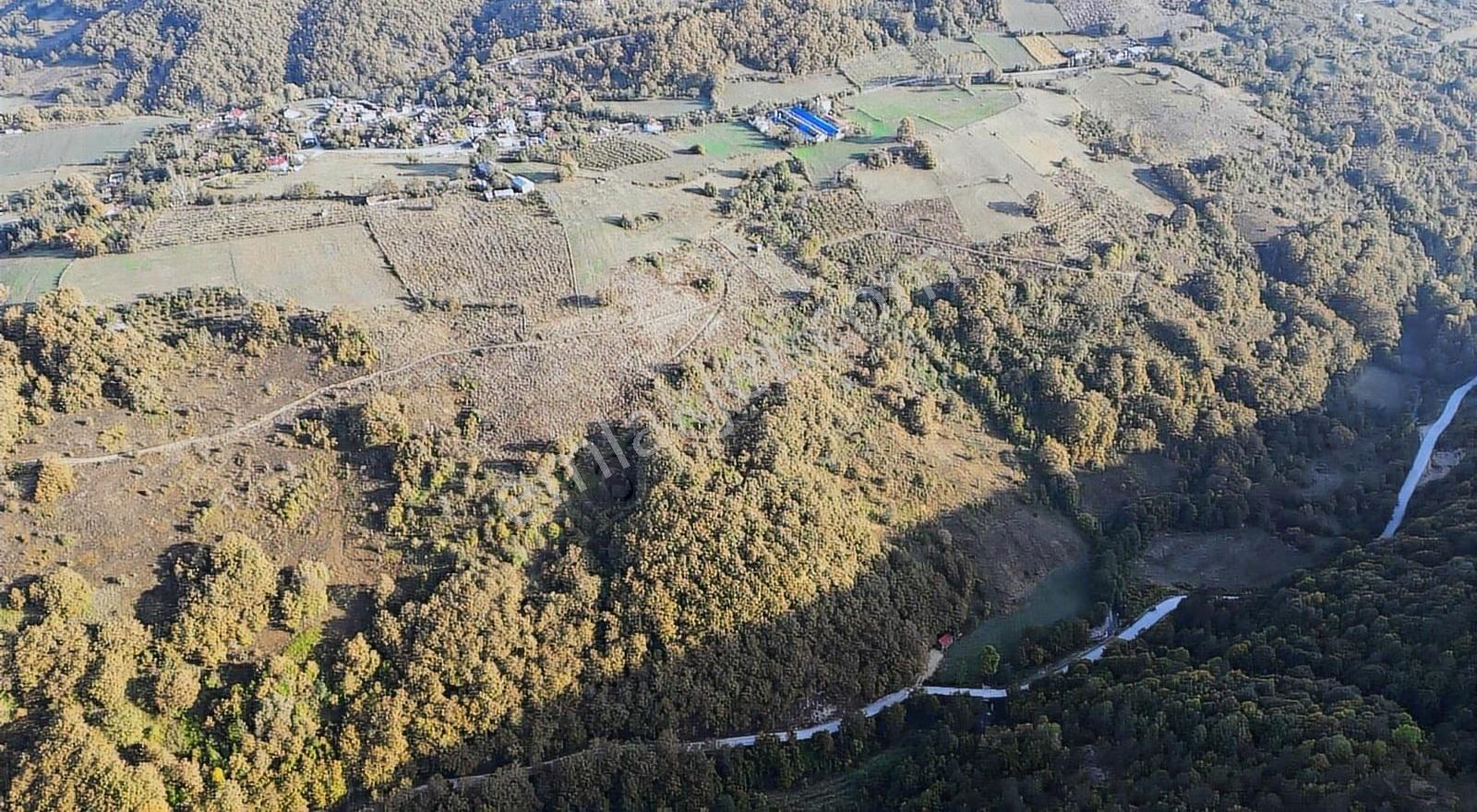 Abant Gölüne Yakın 7000 M2 Satılık Arsa - Görsel 3
