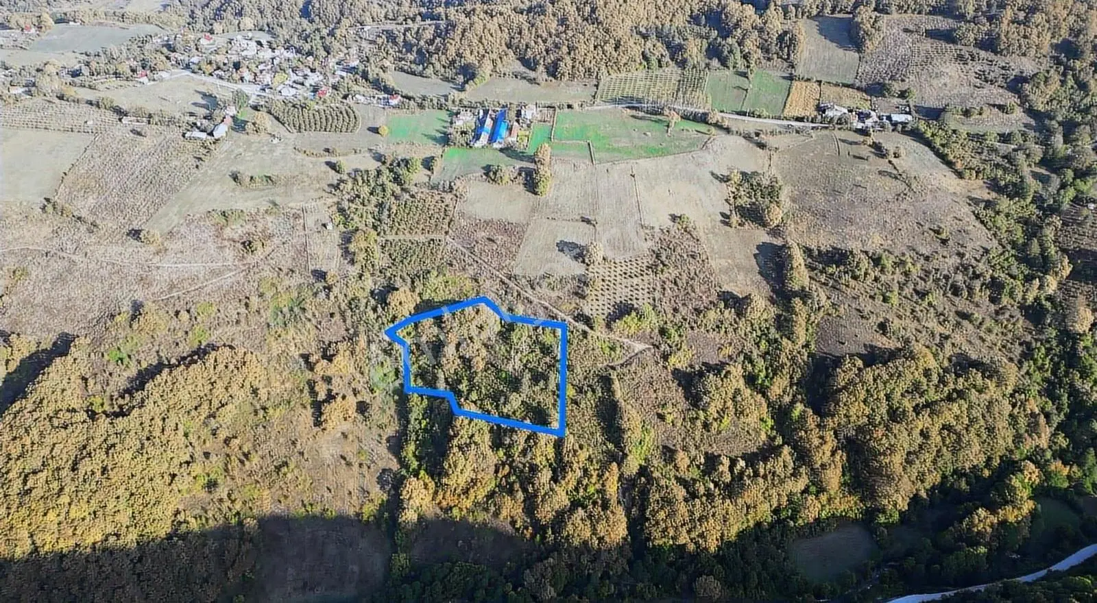 Abant Gölüne Yakın 7000 M2 Satılık Arsa