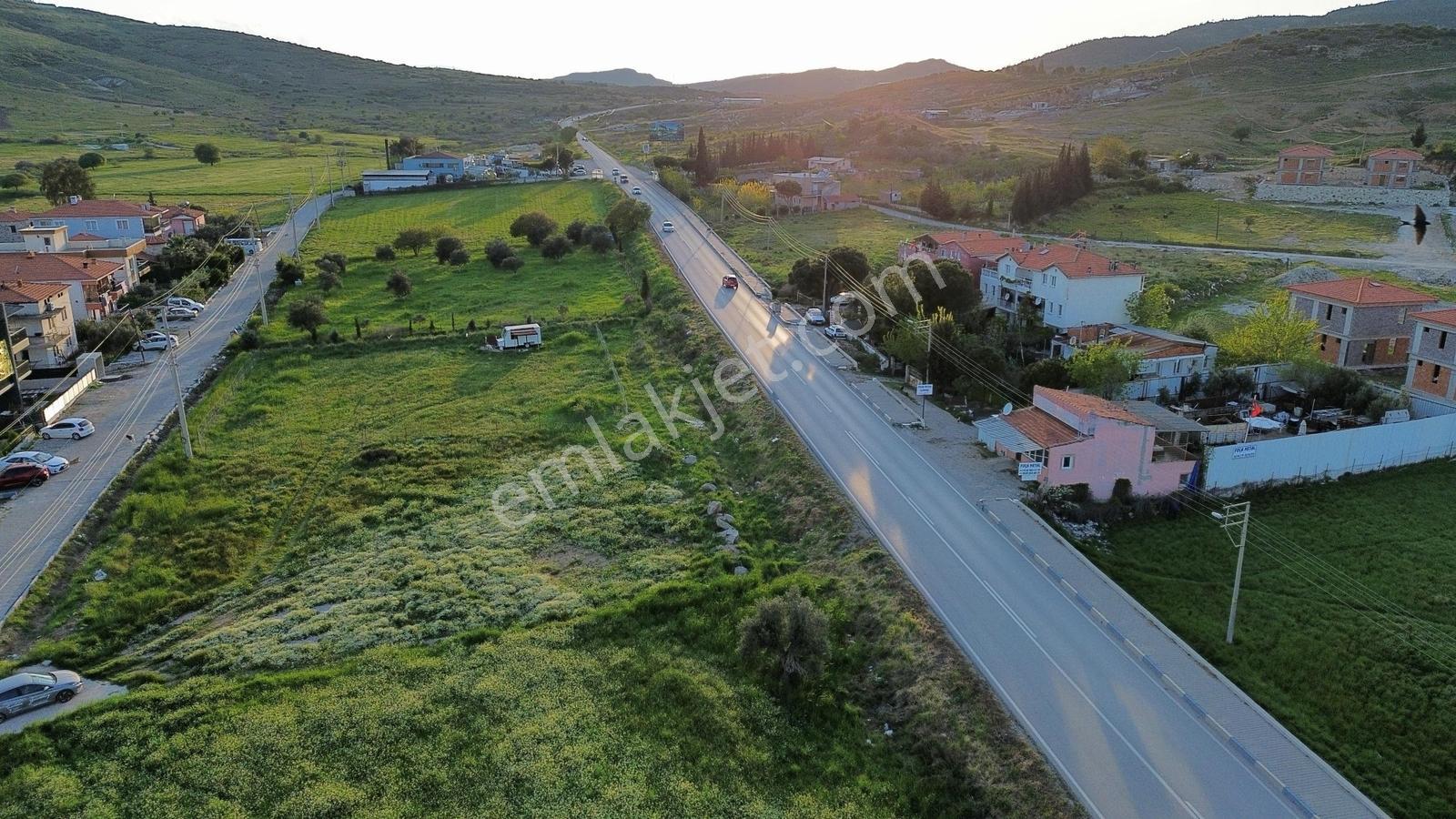 Foça Yenibağarası Anayol Üzeri Kiralık Tarla - Görsel 7