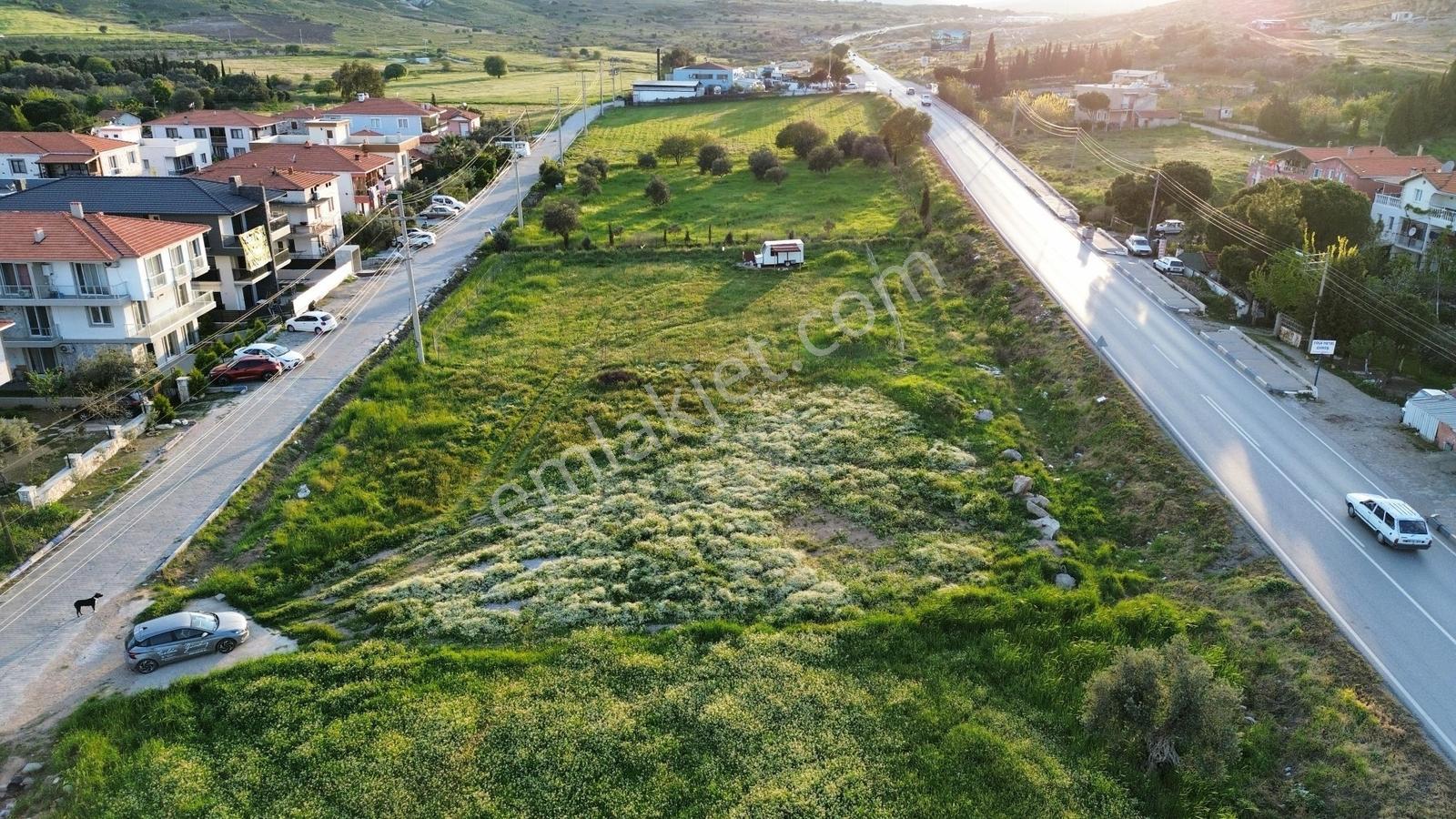 Foça Yenibağarası Anayol Üzeri Kiralık Tarla - Görsel 8