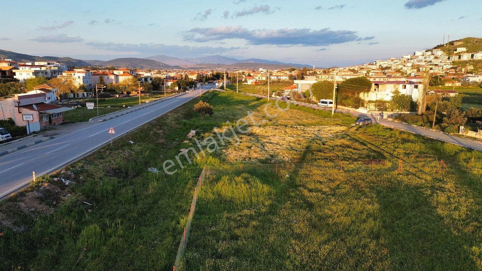 Foça Yenibağarası Anayol Üzeri Kiralık Tarla - Görsel 2