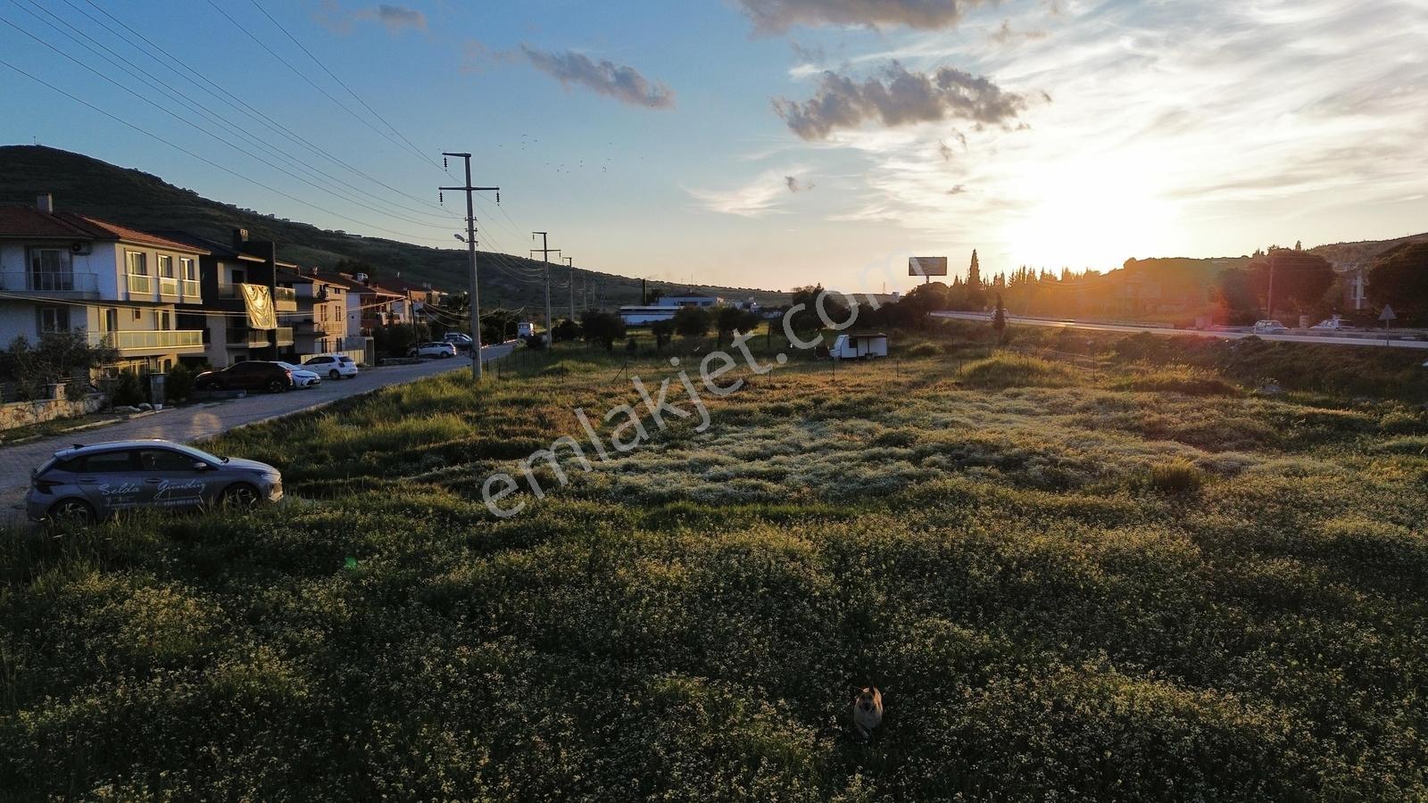Foça Yenibağarası Anayol Üzeri Kiralık Tarla - Görsel 22