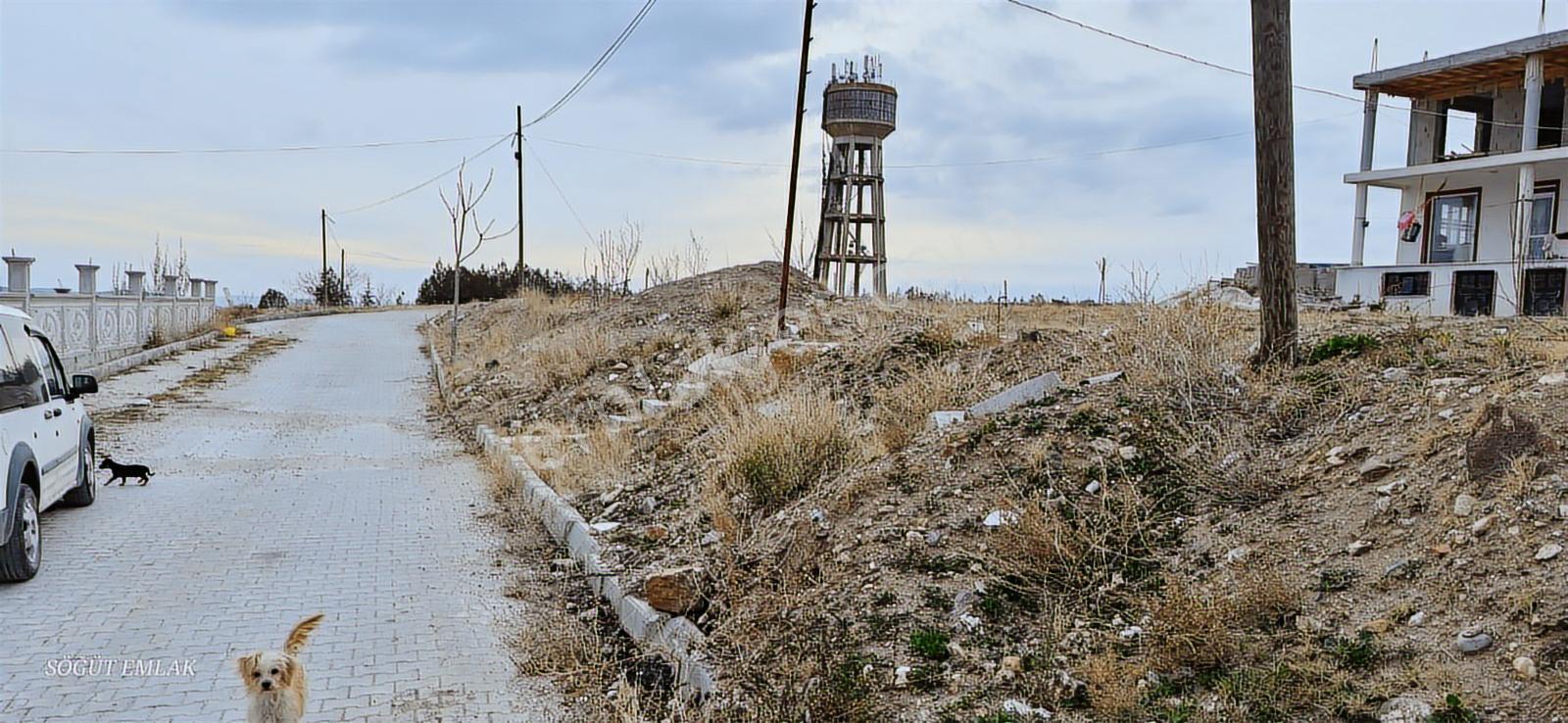 Söğüt Emlak'tan Satılık 822m2 Fırsat Arsa - Görsel 2