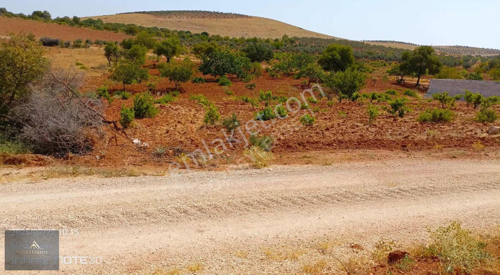 Suboğaz Sınırı Satlık Küçük Parça - Görsel 12